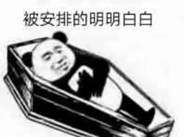 被安排的明明白白的